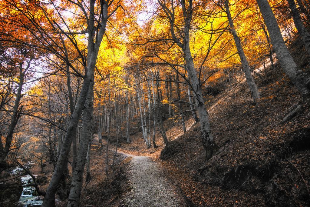 B&B Marconi Montefalcone Appennino エクステリア 写真